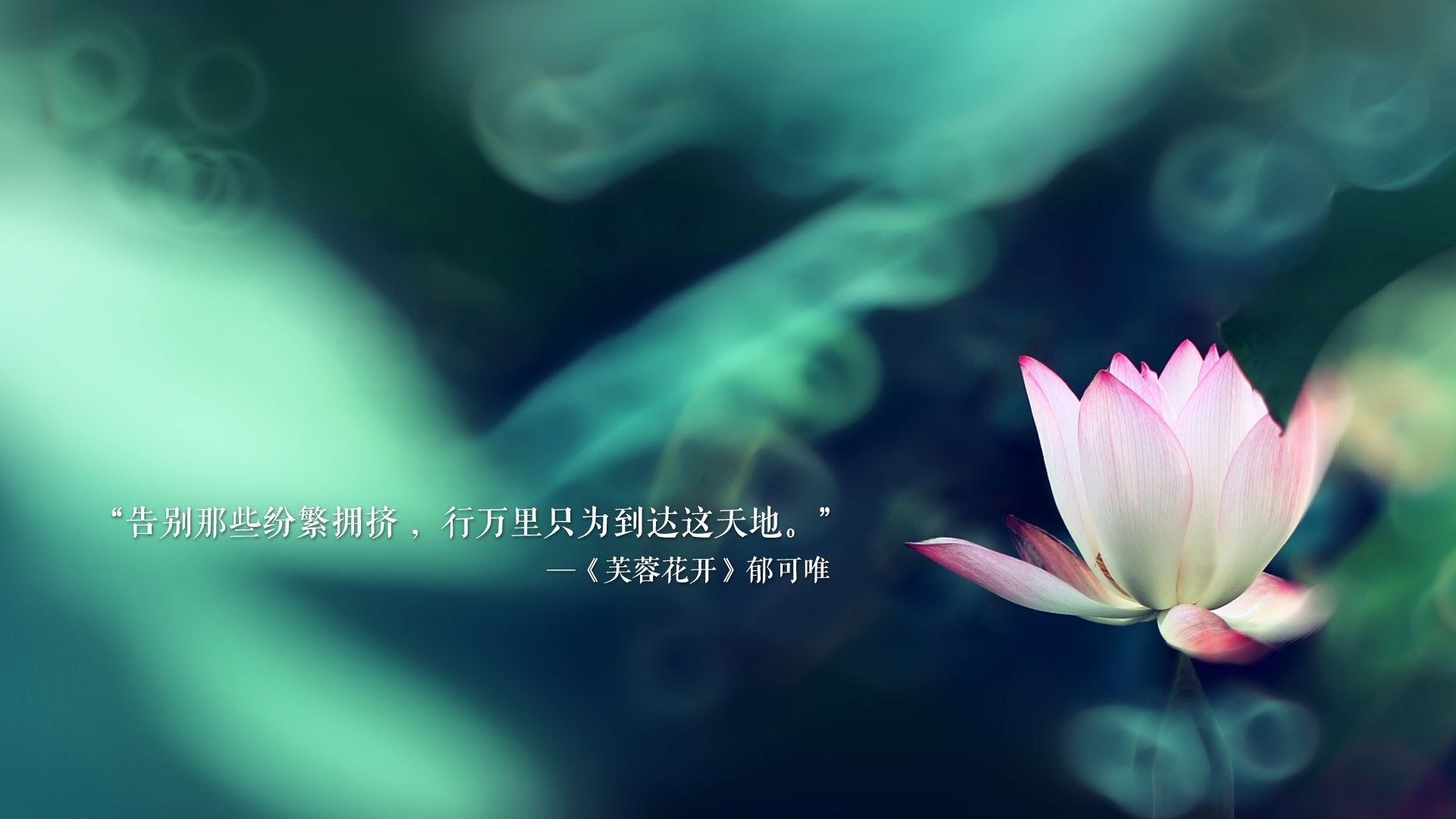 电竞明星遭遇网络暴力，官方发布维权声明，五大电竞明星