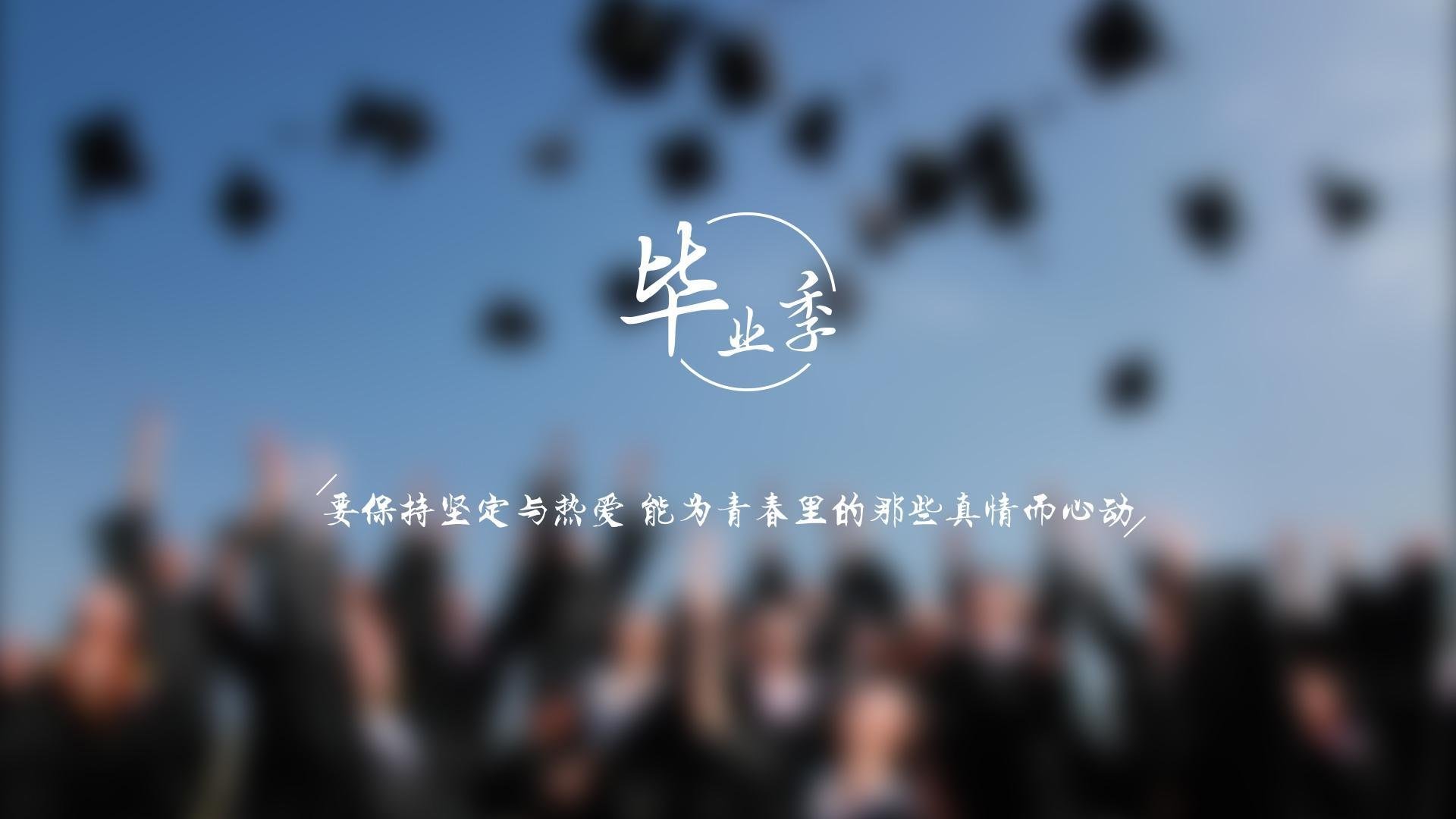 开云在线直播-沙尔克防守强势，已有多场零封对手，沙尔克首胜