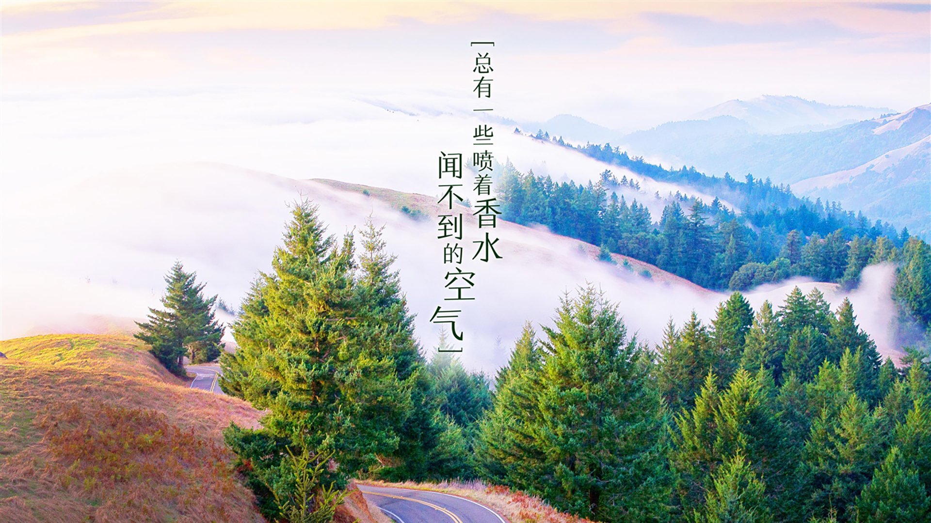 火箭小将惠特摩尔砍下生涯新高，助队终结连败