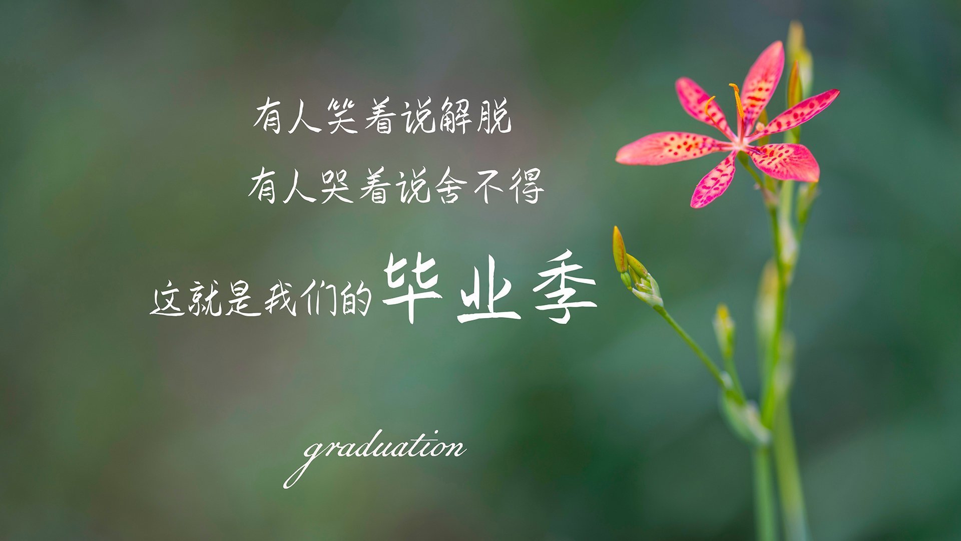 开云入口-红队胜利后排名提升，演绎逆袭传奇，hw 红队