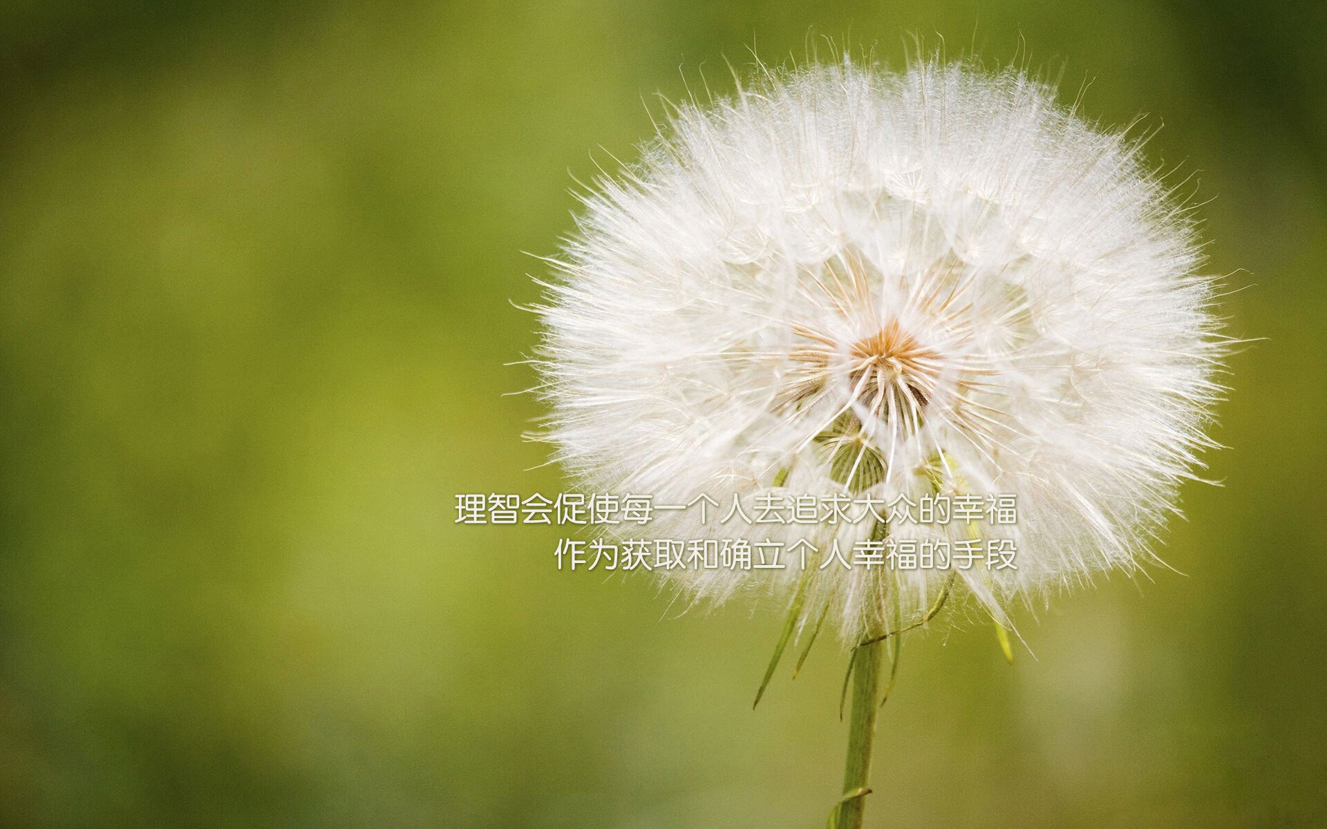 校园体育环境对学生运动积极性的引导作用研究，学校体育的一种氛围与环境