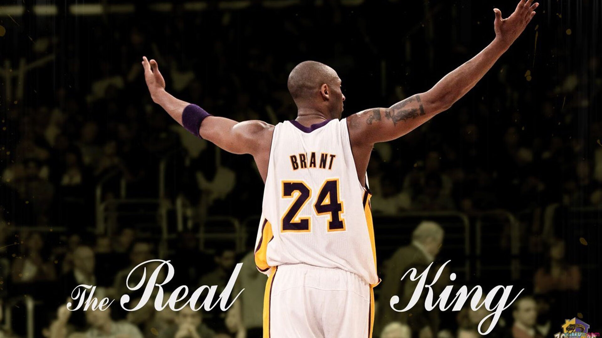 开云官网-篮球运动员康复训练方案科学完善,篮球运动员的疲劳与恢复